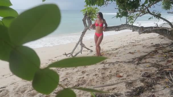 Retrato de una joven en bikini de traje de baño en la playa sobre un fondo del océano. Lento. — Vídeos de Stock