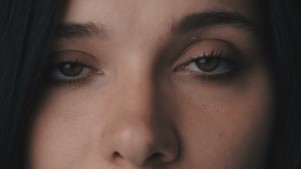 Schönheit Makro Nahaufnahme braune Frauenaugen blinzeln — Stockvideo