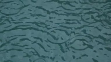 Şiddetli yağmur su çekim. Ağır çekimde su Raindrops düşmek.