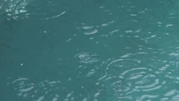 Heavy rain on water shooting. Raindrops fall into the water in slow motion. — Stock Video