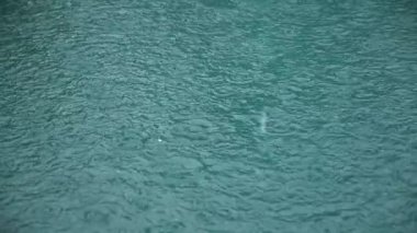 Şiddetli yağmur su çekim. Ağır çekimde su Raindrops düşmek.