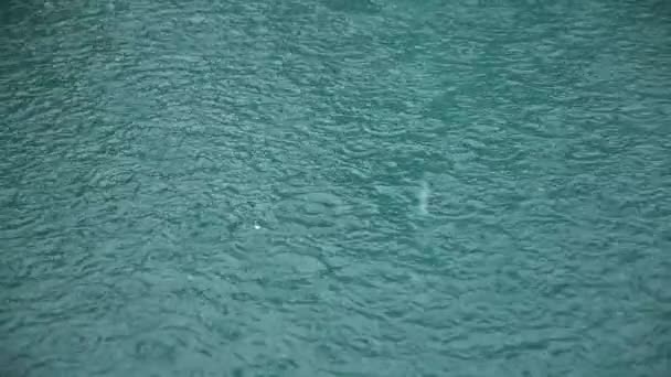 大雨在水上射击。雨滴缓慢地落在水中. — 图库视频影像