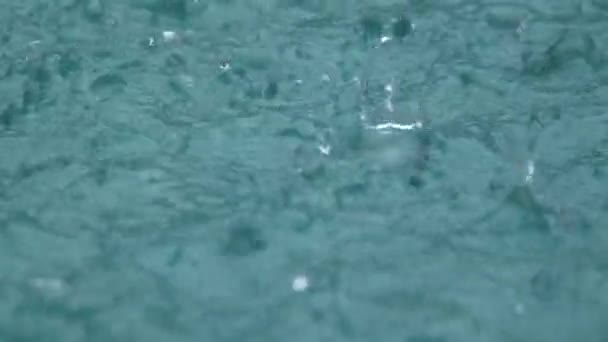 大雨在水上射击。雨滴缓慢地落在水中. — 图库视频影像