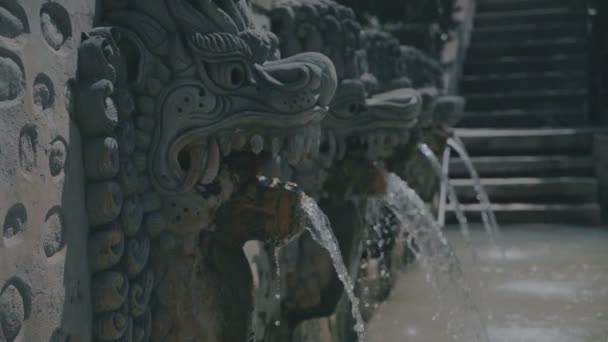 Water flowing from dragon sculpture at hot springs Bali — Stock Video