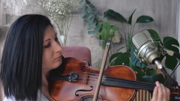 Крупним планом портрет музикантки зі скрипкою. Знімок у повільному русі . — стокове відео