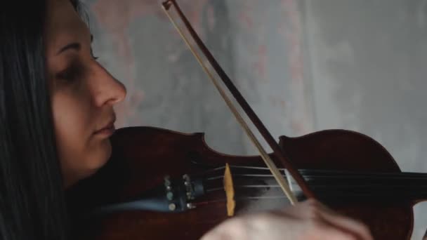 Hermosa mujer músico en camisa blanca toca el violín — Vídeo de stock