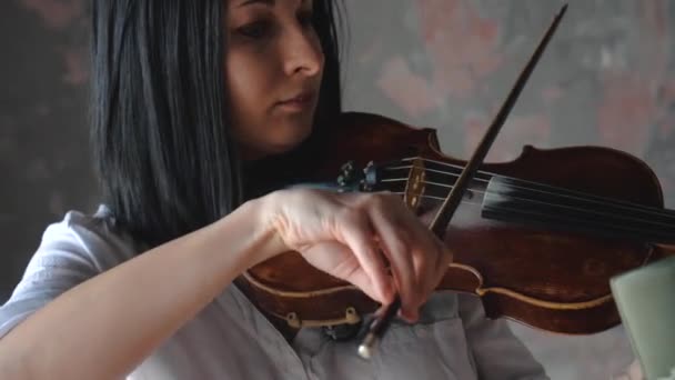 穿着白衬衫的美丽的妇女音乐家拉小提琴 — 图库视频影像