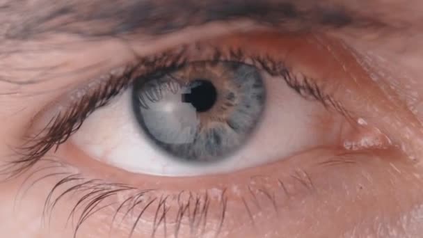 Futuristiska biometriska näthinnan scanner avsöka mänskliga ögat. Makro skott av mans öga — Stockvideo