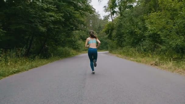 サマーパークでの若い女性ランナートレーニングのバックビュー。屋外でジョギングフィットネスの女の子。モーニングランニングコンセプト. — ストック動画