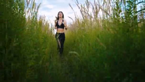 Fit Woman jogging ćwiczenia Running cardio na zewnątrz przez wysoką trawę na polu letnim. Trening kobieta biegacz. — Wideo stockowe