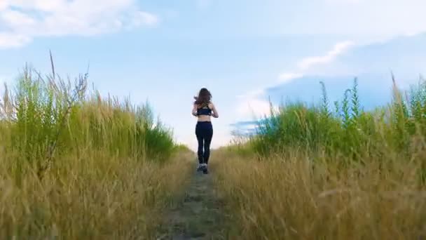 Fit Woman jogging ćwiczenia Running cardio na zewnątrz na polu letnim. Trening kobieta biegacz. — Wideo stockowe