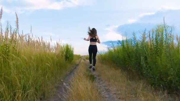 Fit Woman Jogging Exercising Running Cardio outdoor di lapangan musim panas. Pelari Perempuan Berolahraga . — Stok Video