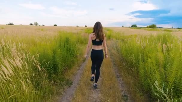 Atletica giovane donna che cammina sulla strada di campagna in un bellissimo campo. all'aperto fitness. colpo con steadicam — Video Stock