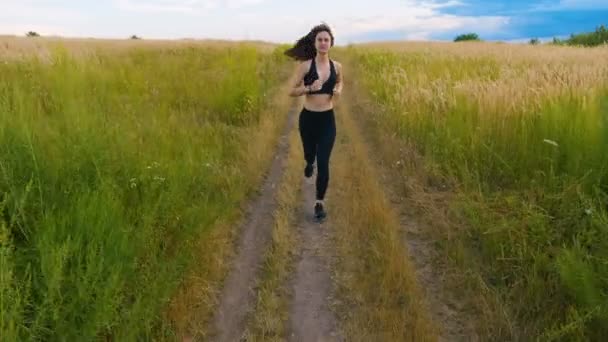 Attraente giovane atleta donna che corre in campagna facendo jogging esercizio godendo di sano stile di vita fitness corridore femminile sulla strada soleggiata campo — Video Stock