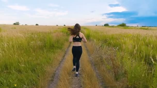 Attraktiv ung kvinna atlet som kör i landet jogging utövar njuter hälsosam Fitness livsstil kvinnlig löpare på Sunny Field Road bakifrån — Stockvideo