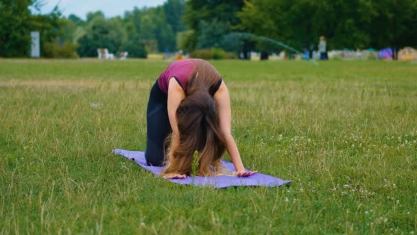 Unga kaukasiska kvinna avkopplande genom att öva yoga på utomhus plats på morgonen. Vacker kvinna gör yoga i parken på Green Grass — Stockvideo