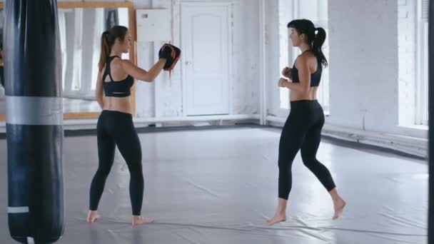 Атлетическая женщина тренирует свои удары на боксерской сумке, которую держит ее партнер. Тхэквондо или кикбоксинг. Две спортсменки тренируются в спортзале — стоковое видео