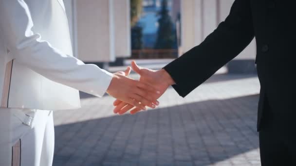 Homme d'affaires se serrant la main avec une collègue femme d'affaires, gens d'affaires se serrant la main Gros plan. Les gens se serrent la main . — Video