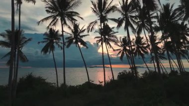 Alacakaranlık gökyüzü ve deniz manzaralı palmiyelerin sinematik görüntüleri. Avuç içi silueti ile günbatımının deniz manzarası. Vahşi sahilde inanılmaz turuncu gün batımı. Denizde yelken açan bir gemi.