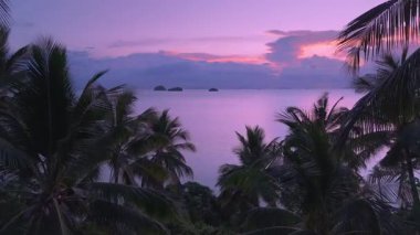 İnanılmaz tropikal cennet ve dinginlik kavramı. Palmiye ağaçlarının silueti denizin üzerinde canlı pembe günbatımına karşı. Pembe günbatımını gösteren palmiye ağaçlarının arasından sakin denize doğru uçmanın sinematik görüntüsü.