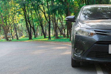 Close-up of a modern car parked on the roadside next to a tree-lined park with sunlight filtering through the leaves