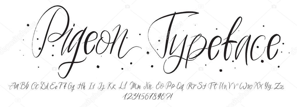 Hand drawn typeface. Painted vector characters: lowercase and uppercase. Typography alphabet for your designs: logo, typeface, card