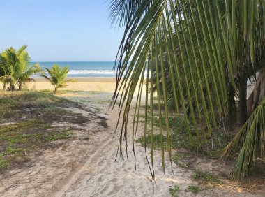 Altın günbatımı güneşinde deniz plajına giden yol