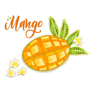 El dokulu mango, çiçekler ve yapraklar çizilmiş. Sağlıklı gıda kafe, restoran, meyve ve bakkal pazarı için renkli vektör gıda illüstrasyon