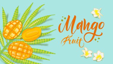 El mavi arka plan üzerinde dokulu mango, çiçekler ve yapraklar çizilmiş. Sağlıklı gıda kafe, restoran, meyve ve bakkal pazarı için renkli vektör düz yatıyordu gıda illüstrasyon