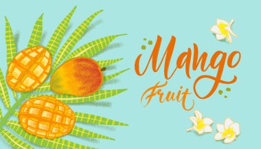 El mavi arka plan üzerinde dokulu mango, çiçekler ve yapraklar çizilmiş. Sağlıklı gıda kafe, restoran, meyve ve bakkal pazarı için renkli vektör düz yatıyordu gıda illüstrasyon