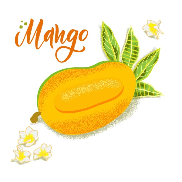 El dokulu mango, çiçekler ve yapraklar çizilmiş. Sağlıklı gıda kafe, restoran, meyve ve bakkal pazarı için renkli vektör gıda illüstrasyon