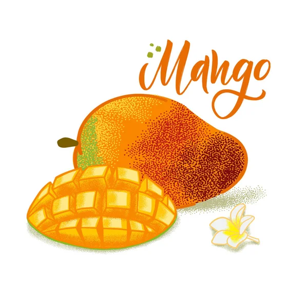 El dokulu mango, çiçekler ve yapraklar çizilmiş. Sağlıklı gıda kafe, restoran, meyve ve bakkal pazarı için renkli vektör gıda illüstrasyon