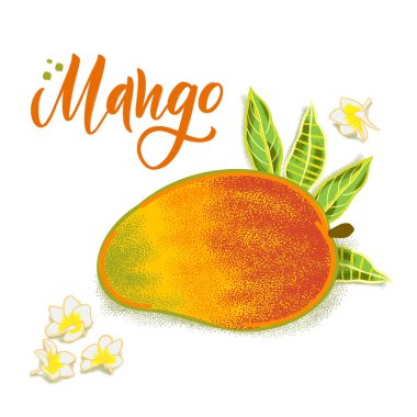 El dokulu mango, çiçekler ve yapraklar çizilmiş. Sağlıklı gıda kafe, restoran, meyve ve bakkal pazarı için renkli vektör gıda illüstrasyon