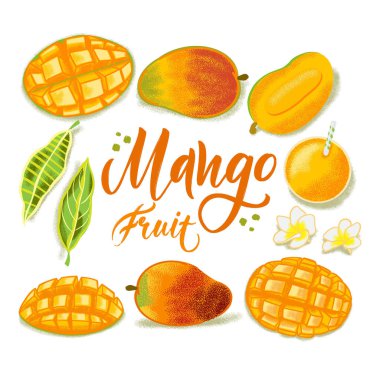 El çizilmiş dokulu mango koleksiyonu. Sağlıklı gıda kafe, restoran, meyve ve bakkal pazarı için renkli vektör gıda illüstrasyon