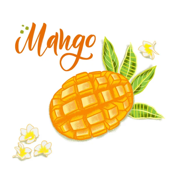 El dokulu mango, çiçekler ve yapraklar çizilmiş. Sağlıklı gıda kafe, restoran, meyve ve bakkal pazarı için renkli vektör gıda illüstrasyon
