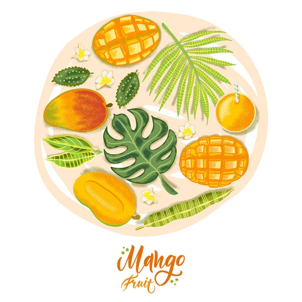 Handritad texturerad mango, blommor och blad på vit bakgrund. Färgglada vektor platt Lay Food illustration för hälsosam mat Café, restaurang, frukt och dagligvarumarknad — Stock vektor