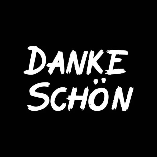 Danke Schon Brush Paint Hand Drawn Lettering Black Background Thanks — Stock Vector