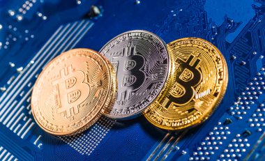 Bilgisayar devre kartında Altın Bitcoin Kripto para birimi. Makro çekim