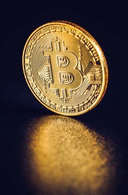 Bitcoin. Kripto para birimi altın Bitcoin, Btc, Bit sikke. Makro çekim Bitcoin izole üzerinde siyah arka plan Blockchain teknoloji paralar,