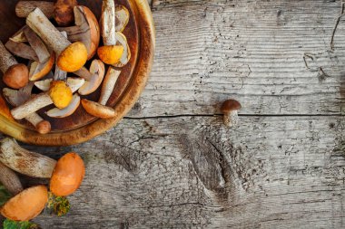 Taze karışık orman ahşap siyah masaya, üstten görünüm mantar. Kopya alanı