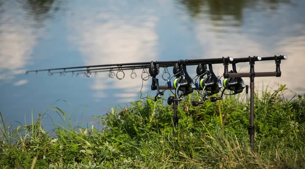 Fishing adventures, carp fishing. Carp fishing rods set up on ho Stock  Photo by ©bukhta79 342426980