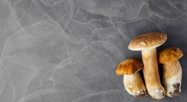  Autumn Cep Mantarları. Boletus Edulis 'i Tahta Karanlık Arkaplan' ın üzerinde, ahşap kırsal masaya yakın tutuyor. Lezzetli organik mantar pişiriyorum. Gurme yemekleri.
