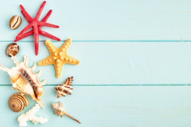 Ahşap zemin üzerinde deniz yıldızları ve kabuklar