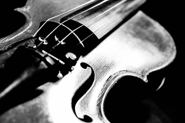 Violín, Instrumento en Oscuro, Blanco y Negro, Luz musical — Foto de Stock