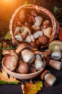 Sonbahar Cep Mantarı. Backg porcini mantar ile Sepet