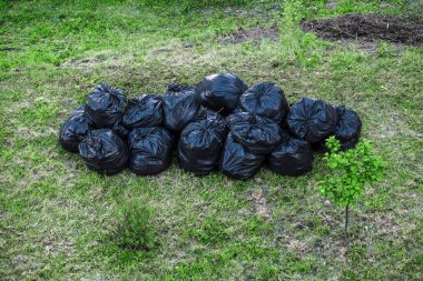 Bahçede yığın çöp plastik torbalar çok, tra kirliliği