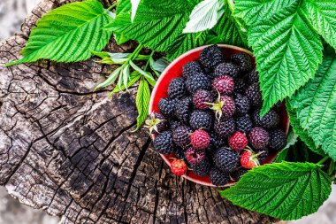 Masada ahşap rustik kase olgun ahududu.Organik çilek wi