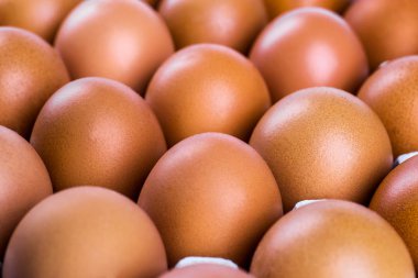Tavuk Yumurta.Yumurta kutusunda çiğ tavuk yumurtası yakın çekim görünümü, yumurta olduğunu