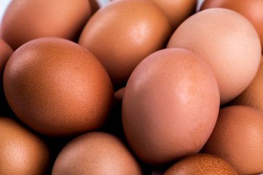 Tavuk Yumurta.Yumurta kutusunda çiğ tavuk yumurtası yakın çekim görünümü, yumurta olduğunu