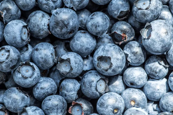 Färska blåbär bakgrund med kopiera utrymme för din text. Vega — Stockfoto